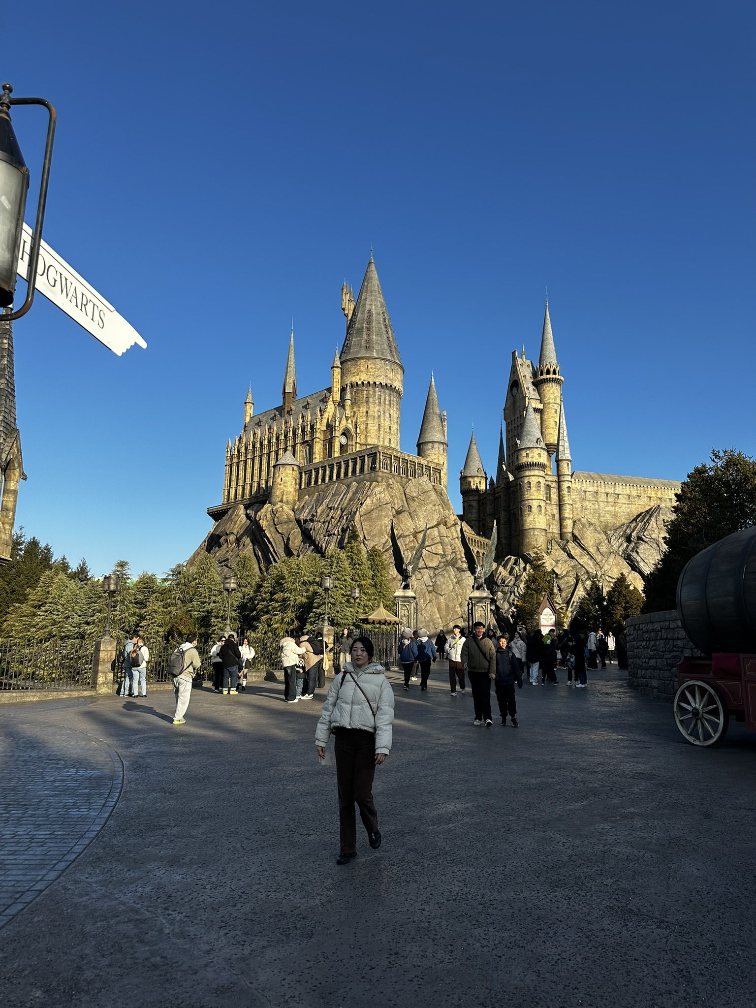 Hogwarts Castle